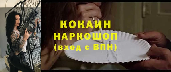 гашик Костерёво
