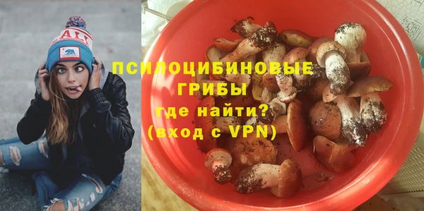 мяу мяу мука Козельск