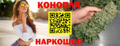 ALPHA PVP Гатчина