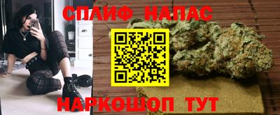 ALPHA PVP Гатчина