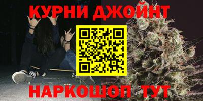 ALPHA PVP Гатчина