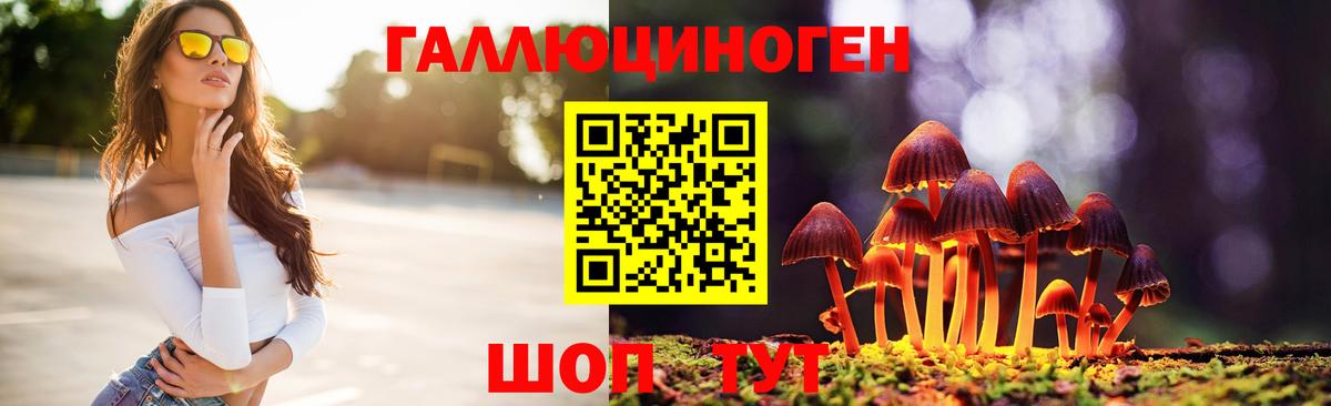 Галлюциногенные грибы GOLDEN TEACHER Карпинск