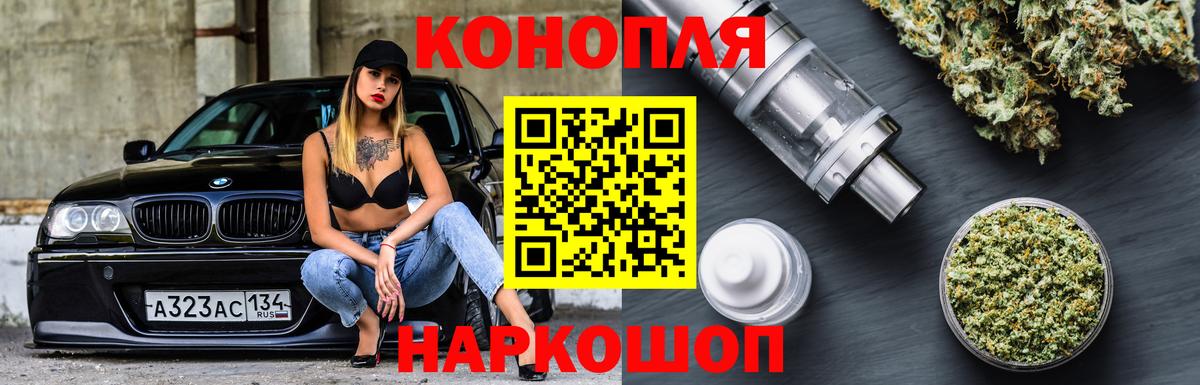 Конопля планчик Карпинск